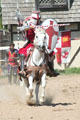 Jousting At Renaissance