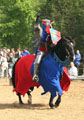 Jousting At Renaissance