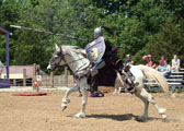 Jousting At Renaissance