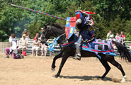 Jousting At Renaissance