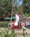 Jousting At Renaissance