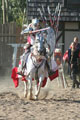 Jousting At Renaissance