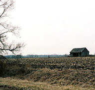 Kischuf Photography - Farm Life